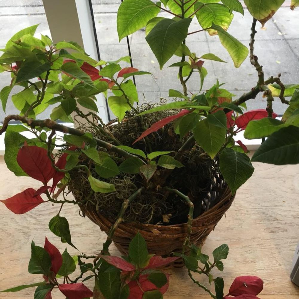 Meet your Posher, Marcia